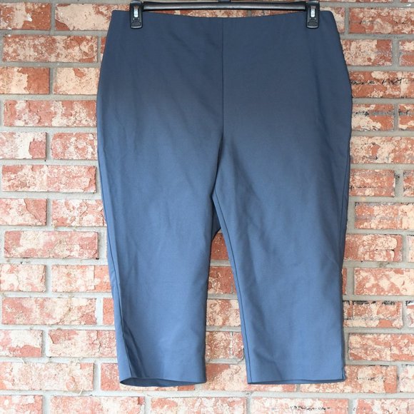 Lane Bryant Outlet Gray Pedal Pushers NWT - Picture 2 of 3
